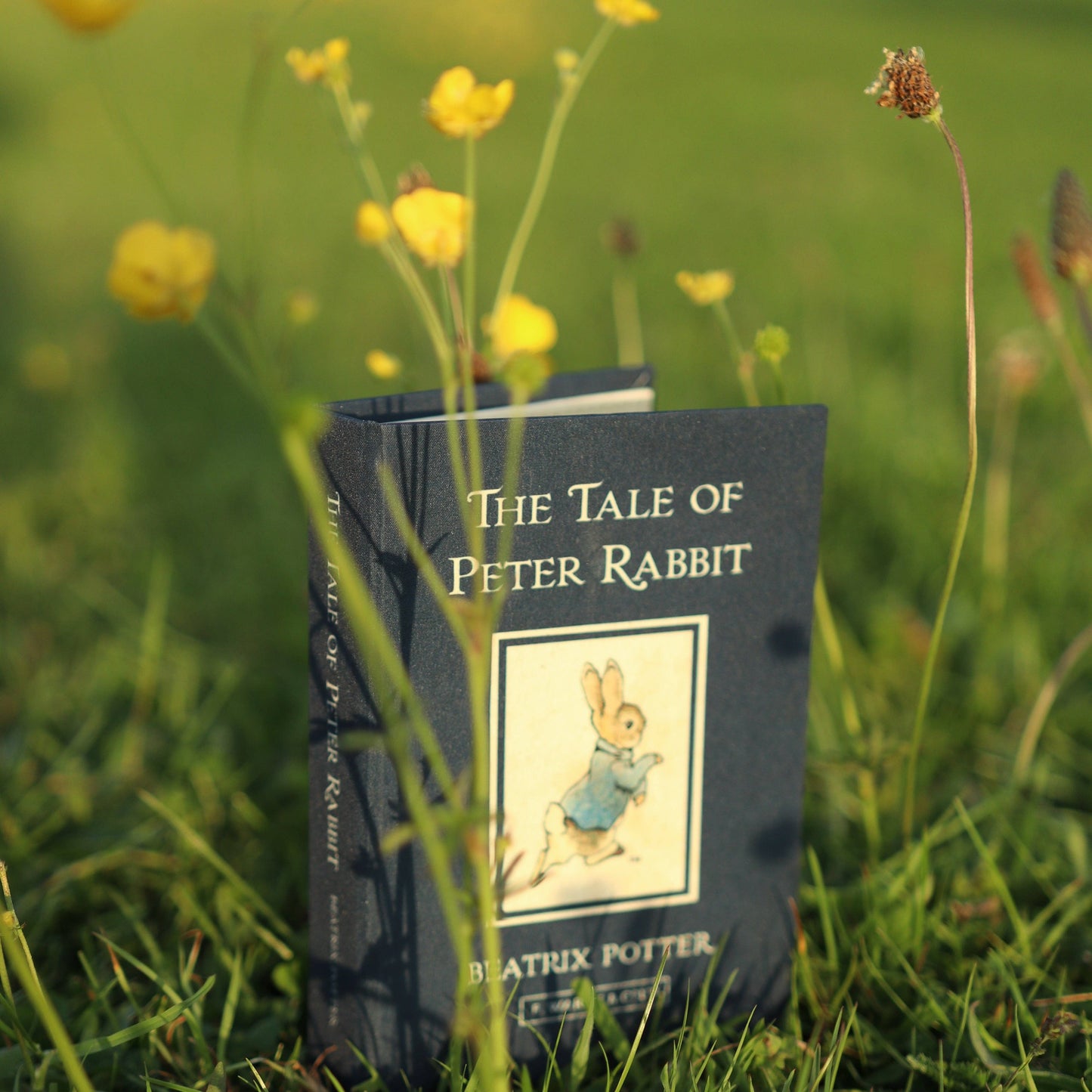 'The Tale of Peter Rabbit' by Beatrix Potter 1902 Passport/Notebook Wallet