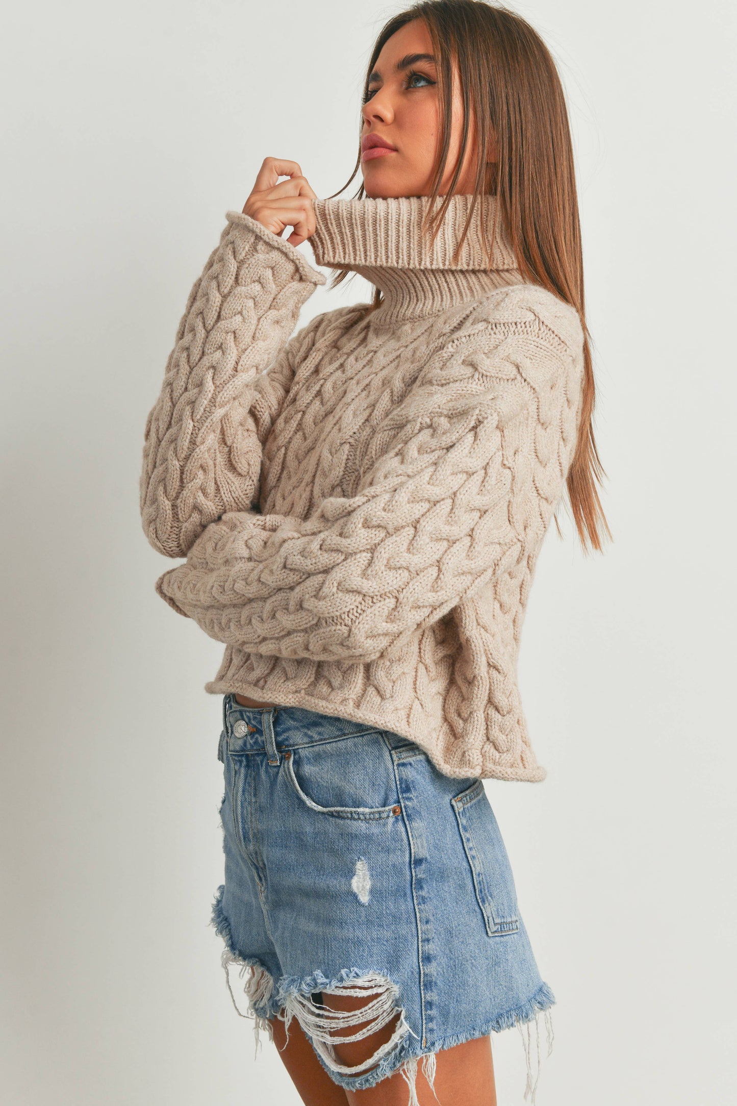 Chunky Cropped Cableknit Turtle Neck Sweater